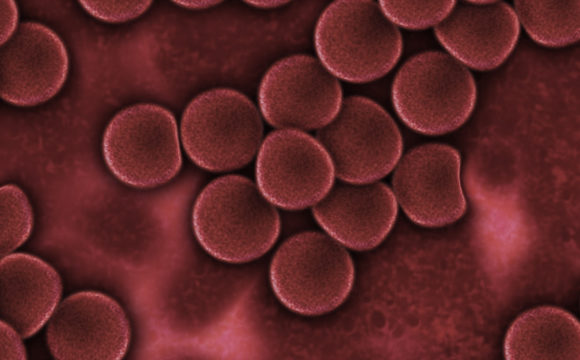 Ematologia
